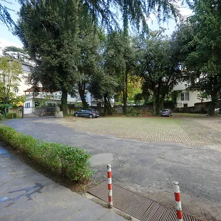 Palm With Free Parking *