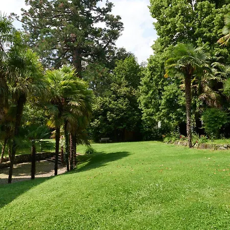 Palm With Free Parking Merano