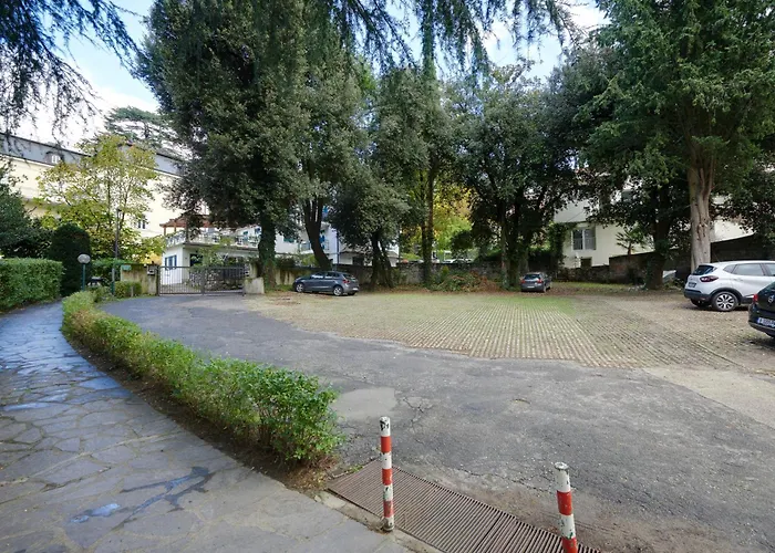 Palm With Free Parking *