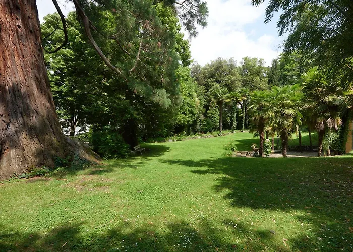 Palm With Free Parking