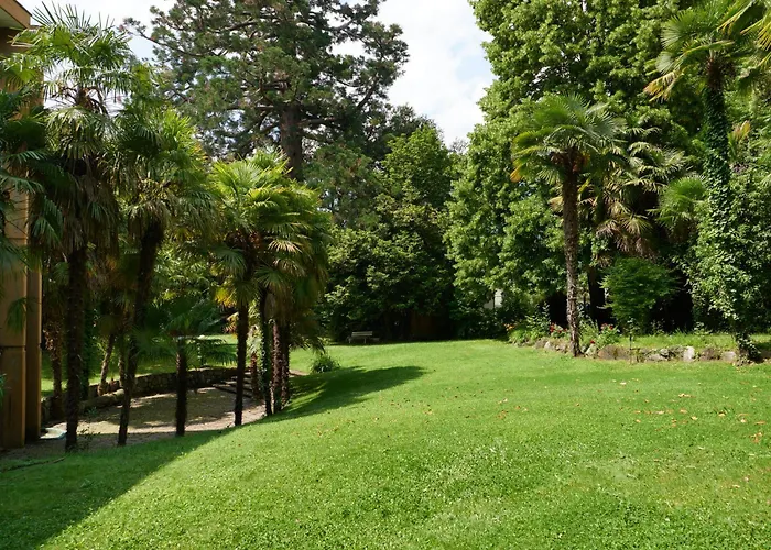 Palm With Free Parking Merano